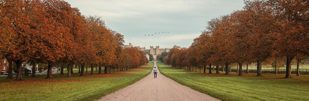 Photo of The Long Walk in Autumn