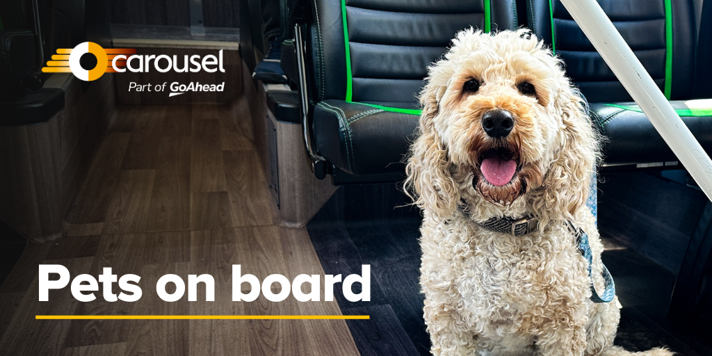 The image shows a photograph of a dog sitting on a bus. At the top right, there are logos for the Oxford Bus Company and Thames Travel. To the left of the dog, the text "Pets on Board" is displayed.